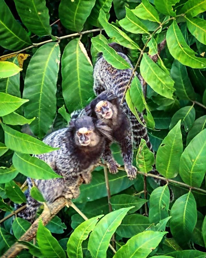 Pousada Costao Do Sol Angra dos Reis Zewnętrze zdjęcie