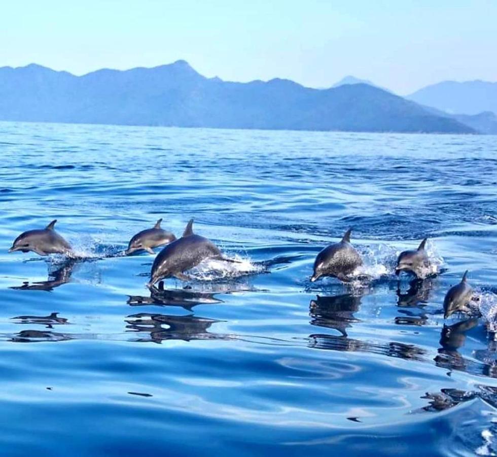 Pousada Costao Do Sol Angra dos Reis Zewnętrze zdjęcie