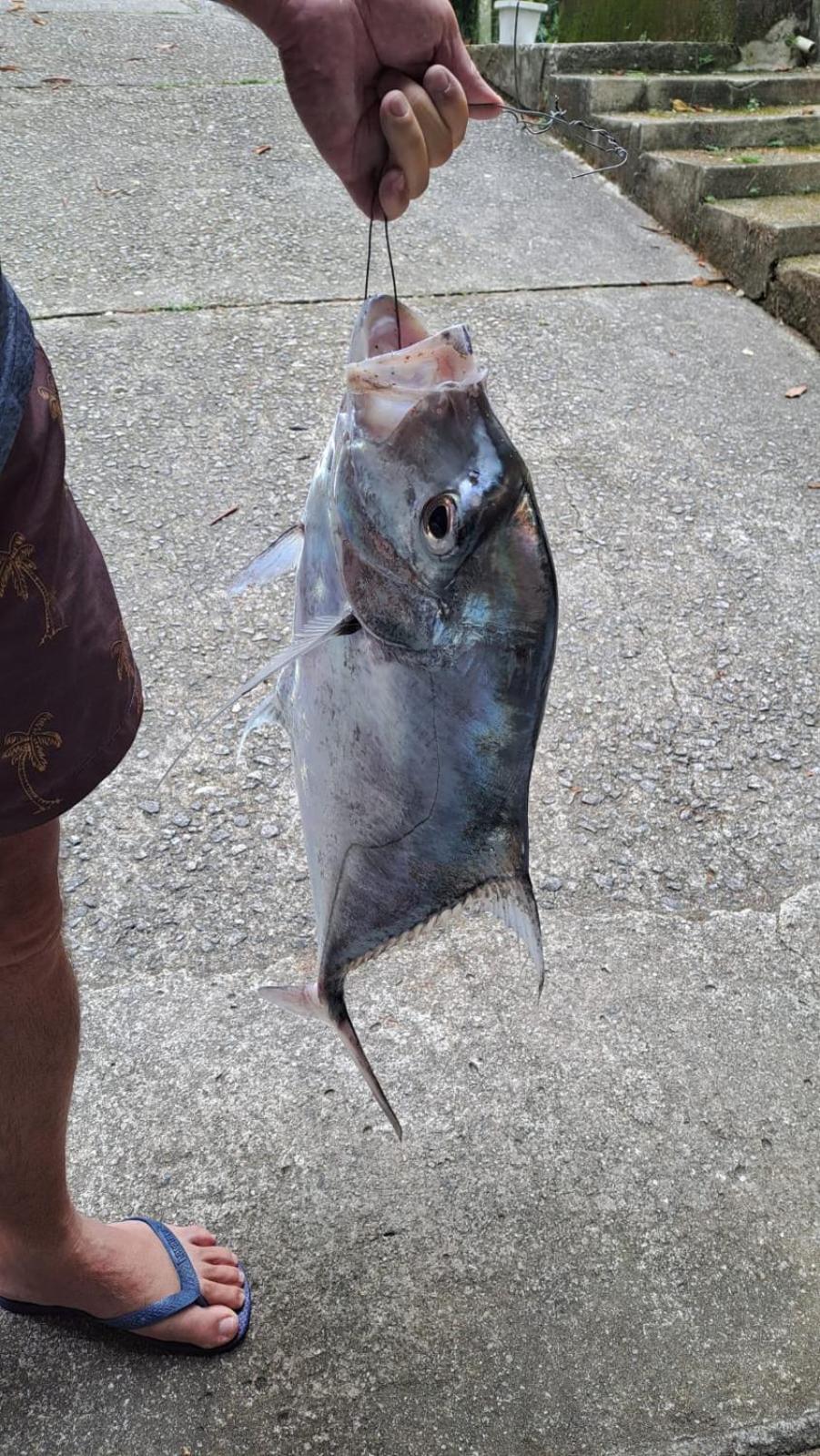 Pousada Costao Do Sol Angra dos Reis Zewnętrze zdjęcie