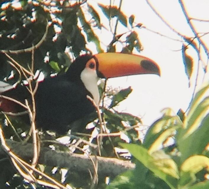 Pousada Costao Do Sol Angra dos Reis Zewnętrze zdjęcie